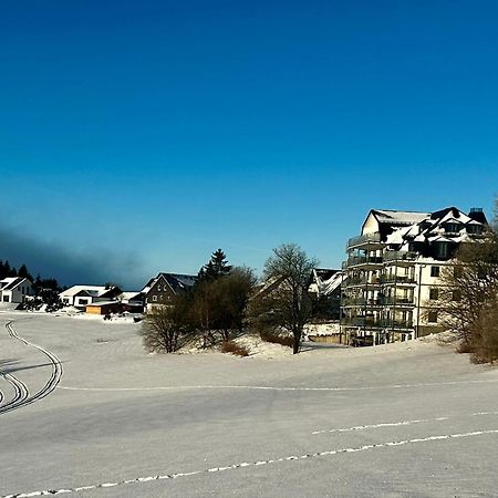 Astenblick Apartments Winterberg With Sauna Экстерьер фото