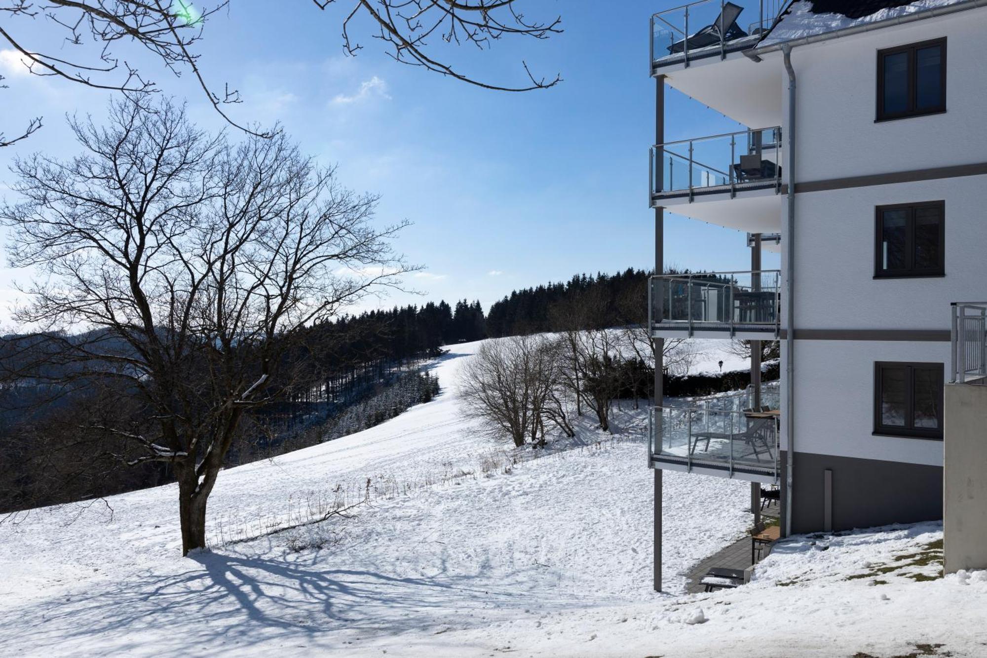 Astenblick Apartments Winterberg With Sauna Экстерьер фото